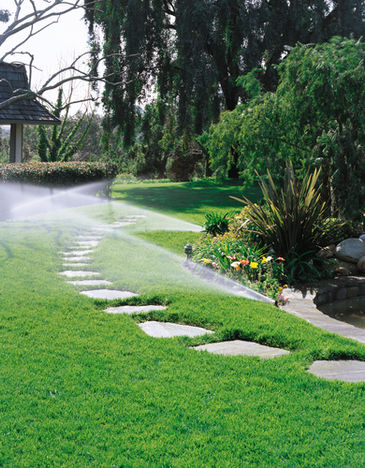 Why an In-Ground Sprinkler System Is a Smart Choice for Minnesota Lawns